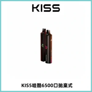 KIS5WAGOO哇酷6500口拋棄式 | 自由混搭雙口味 | 雙芯組合